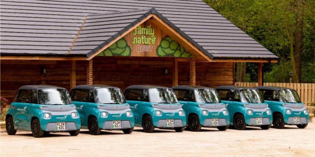 Restaurant Runner Cars