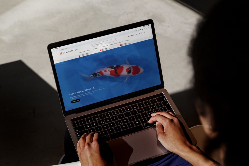Exclusively Koi Home Page Design.